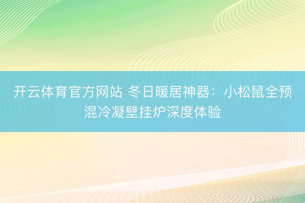 开云体育官方网站 冬日暖居神器:小松鼠全预混冷凝壁挂炉深度体验
