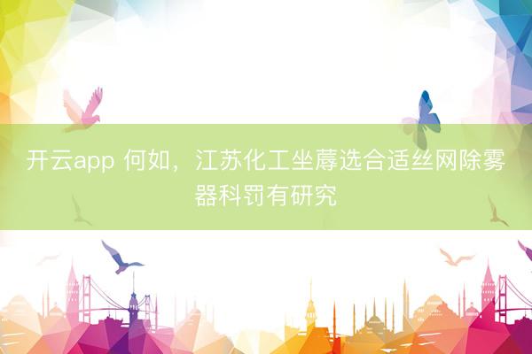开云app 何如,江苏化工坐蓐选合适丝网除雾器科罚有研究