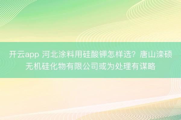 开云app 河北涂料用硅酸钾怎样选？唐山滦硕无机硅化物有限公司或为处理有谋略