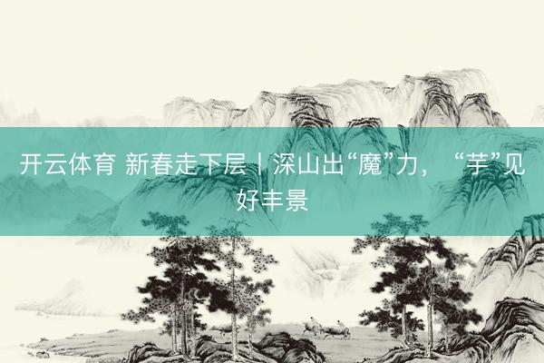 开云体育 新春走下层丨深山出“魔”力， “芋”见好丰景