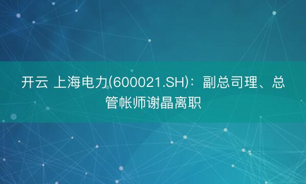 开云 上海电力(600021.SH):副总司理、总管帐师谢晶离职