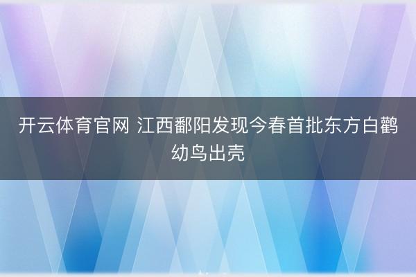 开云体育官网 江西鄱阳发现今春首批东方白鹳幼鸟出壳