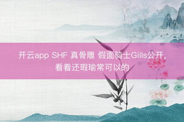 开云app SHF 真骨雕 假面骑士Gills公开，看着还瑕瑜常可以的