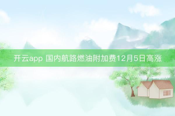 开云app 国内航路燃油附加费12月5日高涨