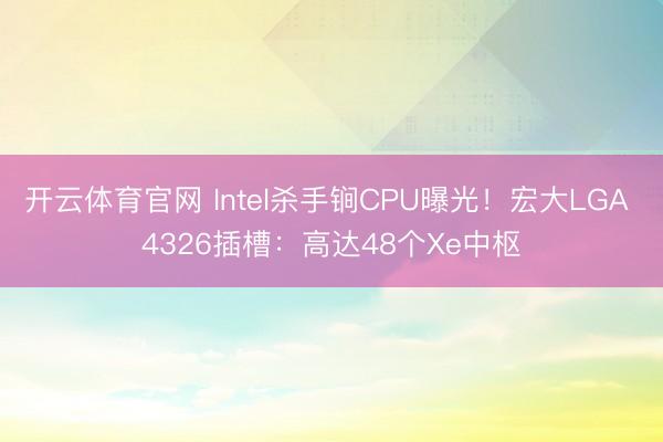 开云体育官网 Intel杀手锏CPU曝光!宏大LGA 4326插槽:高达48个Xe中枢