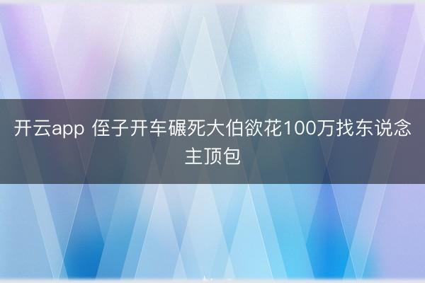 开云app 侄子开车碾死大伯欲花100万找东说念主顶包