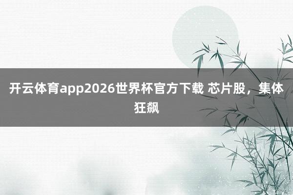 开云体育app2026世界杯官方下载 芯片股，集体狂飙