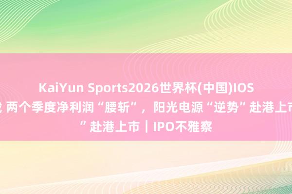 KaiYun Sports2026世界杯(中国)IOS/安卓官方下载 两个季度净利润“腰斩”，阳光电源“逆势”赴港上市｜IPO不雅察