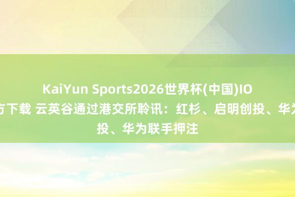 KaiYun Sports2026世界杯(中国)IOS/安卓官方下载 云英谷通过港交所聆讯:红杉、启明创投、华为联手押注