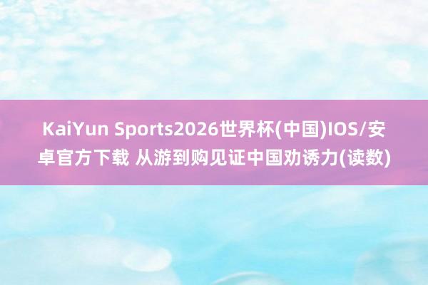 KaiYun Sports2026世界杯(中国)IOS/安卓官方下载 从游到购见证中国劝诱力(读数)