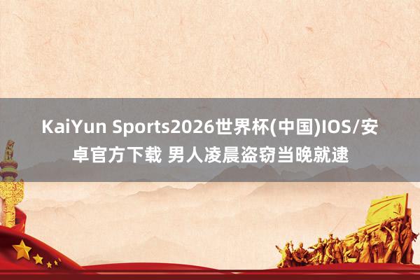KaiYun Sports2026世界杯(中国)IOS/安卓官方下载 男人凌晨盗窃当晚就逮