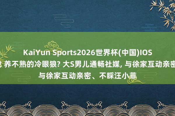 KaiYun Sports2026世界杯(中国)IOS/安卓官方下载 养不熟的冷眼狼? 大S男儿通畅社媒， 与徐家互动亲密、不睬汪小菲
