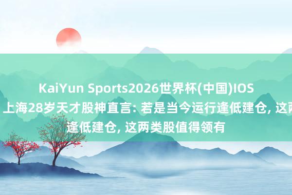KaiYun Sports2026世界杯(中国)IOS/安卓官方下载 上海28岁天才股神直言: 若是当今运行逢低建仓, 这两类股值得领有