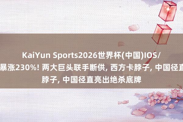 KaiYun Sports2026世界杯(中国)IOS/安卓官方下载 暴涨230%! 两大巨头联手断供， 西方卡脖子， 中国径直亮出绝杀底牌