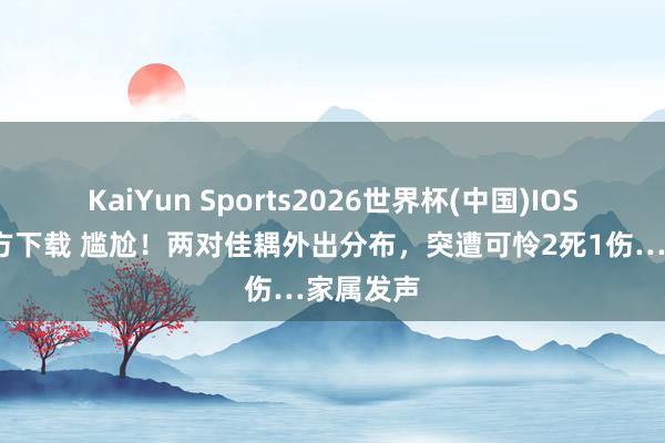 KaiYun Sports2026世界杯(中国)IOS/安卓官方下载 尴尬!两对佳耦外出分布,突遭可怜2死1伤…家属发声