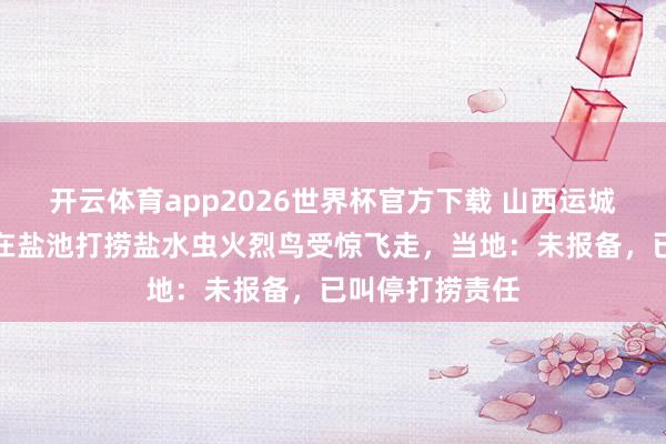 开云体育app2026世界杯官方下载 山西运城有工东说念主在盐池打捞盐水虫火烈鸟受惊飞走,当地:未报备,已叫停打捞责任