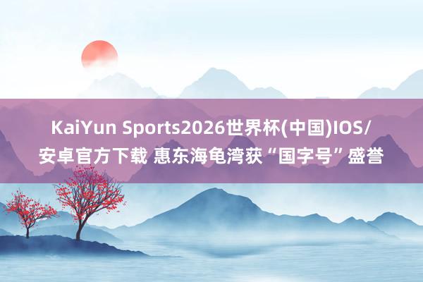KaiYun Sports2026世界杯(中国)IOS/安卓官方下载 惠东海龟湾获“国字号”盛誉