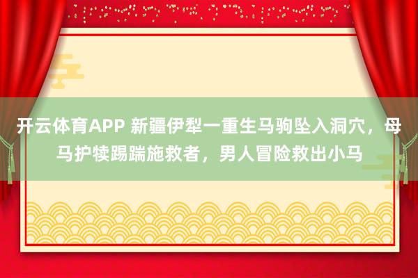 开云体育APP 新疆伊犁一重生马驹坠入洞穴，母马护犊踢踹施救者，男人冒险救出小马