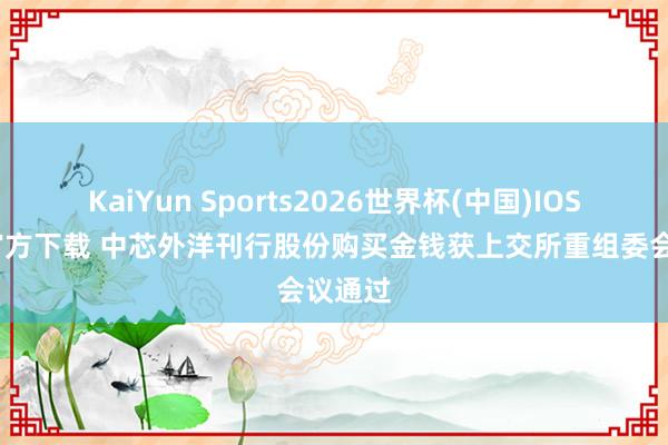 KaiYun Sports2026世界杯(中国)IOS/安卓官方下载 中芯外洋刊行股份购买金钱获上交所重组委会议通过