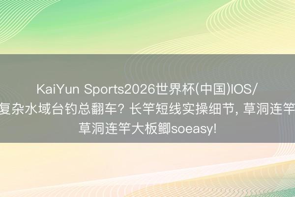 KaiYun Sports2026世界杯(中国)IOS/安卓官方下载 复杂水域台钓总翻车? 长竿短线实操细节， 草洞连竿大板鲫soeasy!