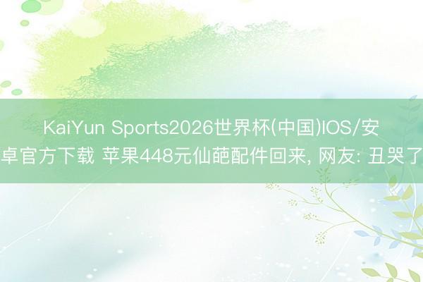 KaiYun Sports2026世界杯(中国)IOS/安卓官方下载 苹果448元仙葩配件回来， 网友: 丑哭了