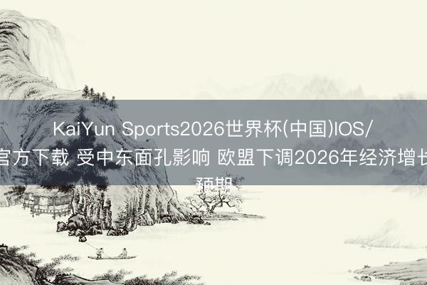 KaiYun Sports2026世界杯(中国)IOS/安卓官方下载 受中东面孔影响 欧盟下调2026年经济增长预期