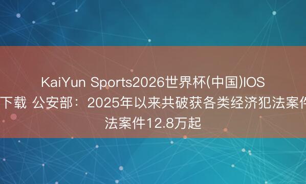 KaiYun Sports2026世界杯(中国)IOS/安卓官方下载 公安部：2025年以来共破获各类经济犯法案件12.8万起
