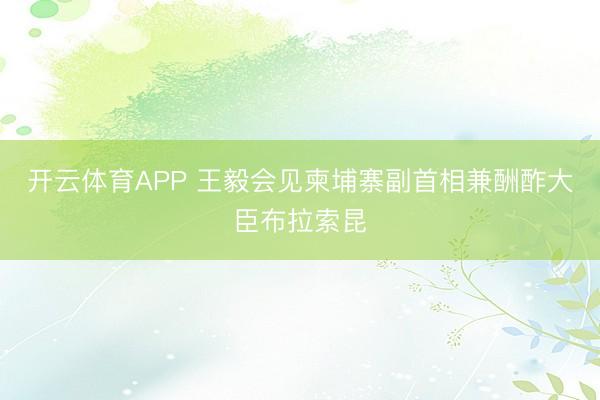 开云体育APP 王毅会见柬埔寨副首相兼酬酢大臣布拉索昆