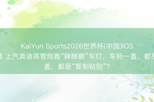 KaiYun Sports2026世界杯(中国)IOS/安卓官方下载 上汽奥迪高管炮轰“眯眯眼”车灯，车标一盖，都是“复制粘贴”？