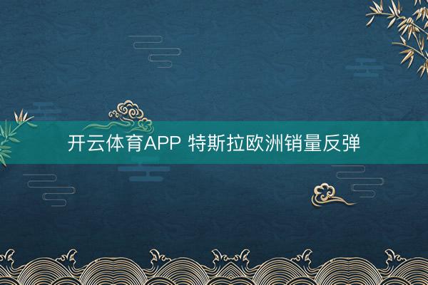 开云体育APP 特斯拉欧洲销量反弹