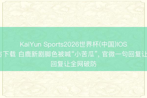 KaiYun Sports2026世界杯(中国)IOS/安卓官方下载 白鹿新剧脚色被喊“小苦瓜”， 官微一句回复让全网破防