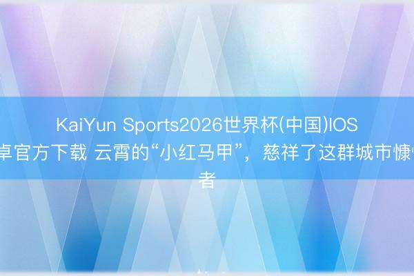 KaiYun Sports2026世界杯(中国)IOS/安卓官方下载 云霄的“小红马甲”,慈祥了这群城市慷慨者